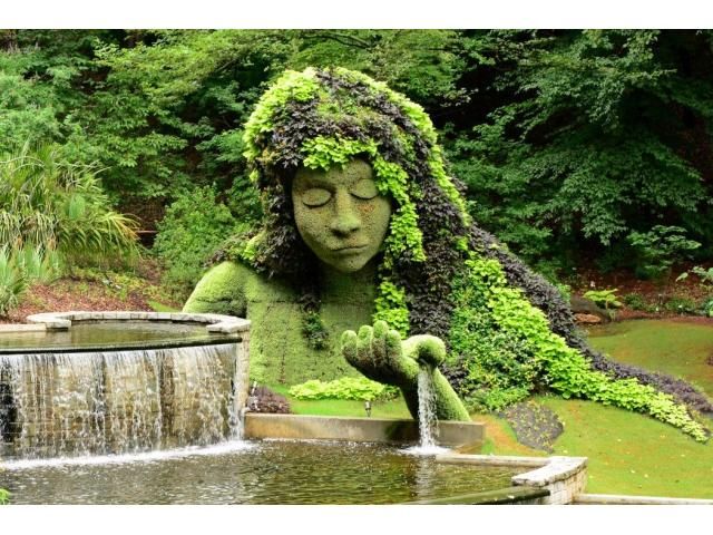 Acharya Jagadish Chandra Bose Indian Botanic Garden: A Nature Lover's Paradise in Kolkata