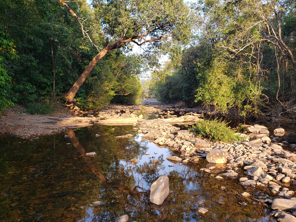 Explore the Lush Beauty of Bhagwan Mahavir Wildlife Sanctuary, Goa