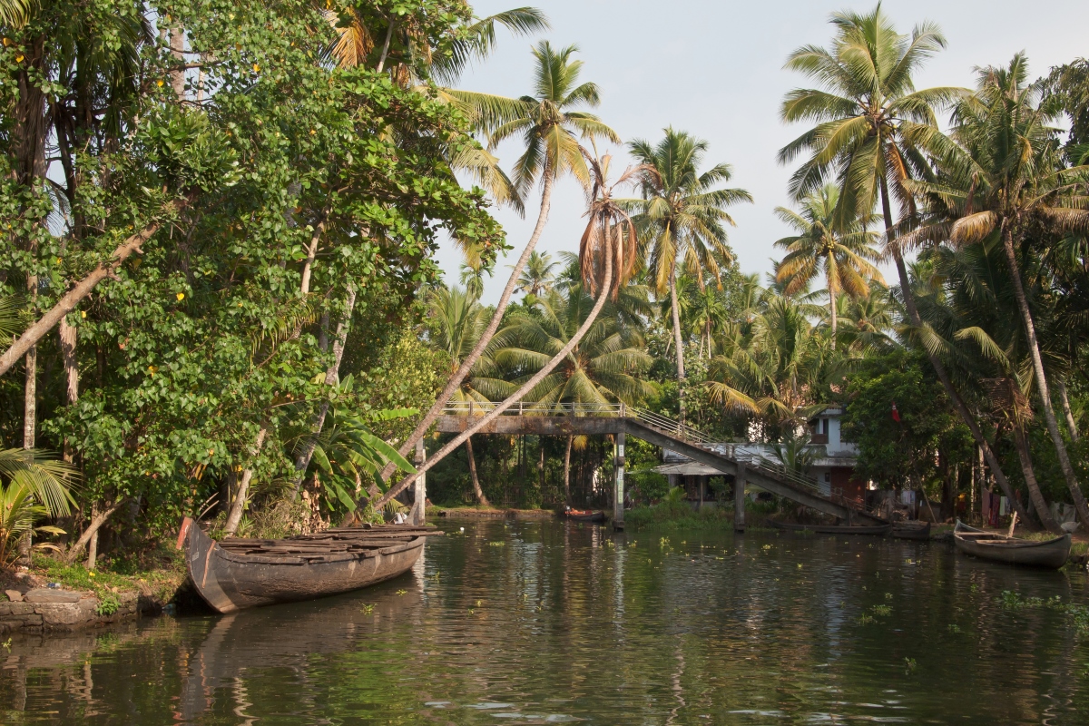 Kerala Family Tour: A 6-Day Journey Through Nature’s Paradise