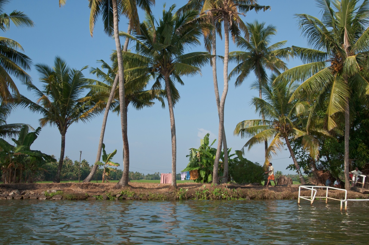 Discover Serenity: Kerala Munnar and Thekkady Tour Package