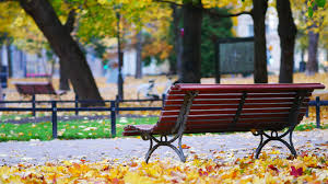 Naqvi Park, Aligarh: A Serene Green Escape