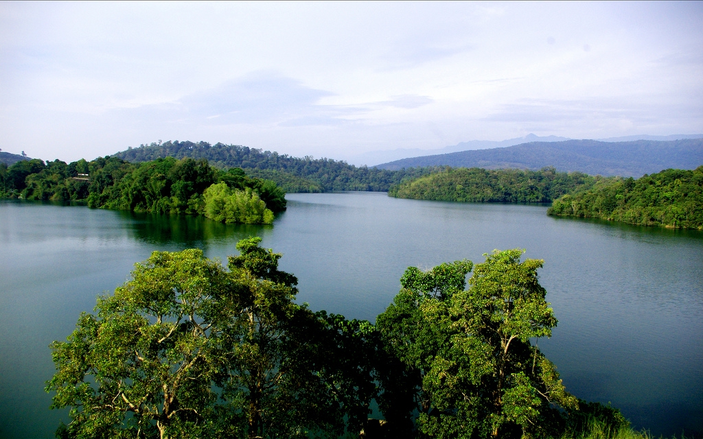 Discover the Wonders of Neyyar Wildlife Sanctuary: A Hidden Gem Near Trivandrum