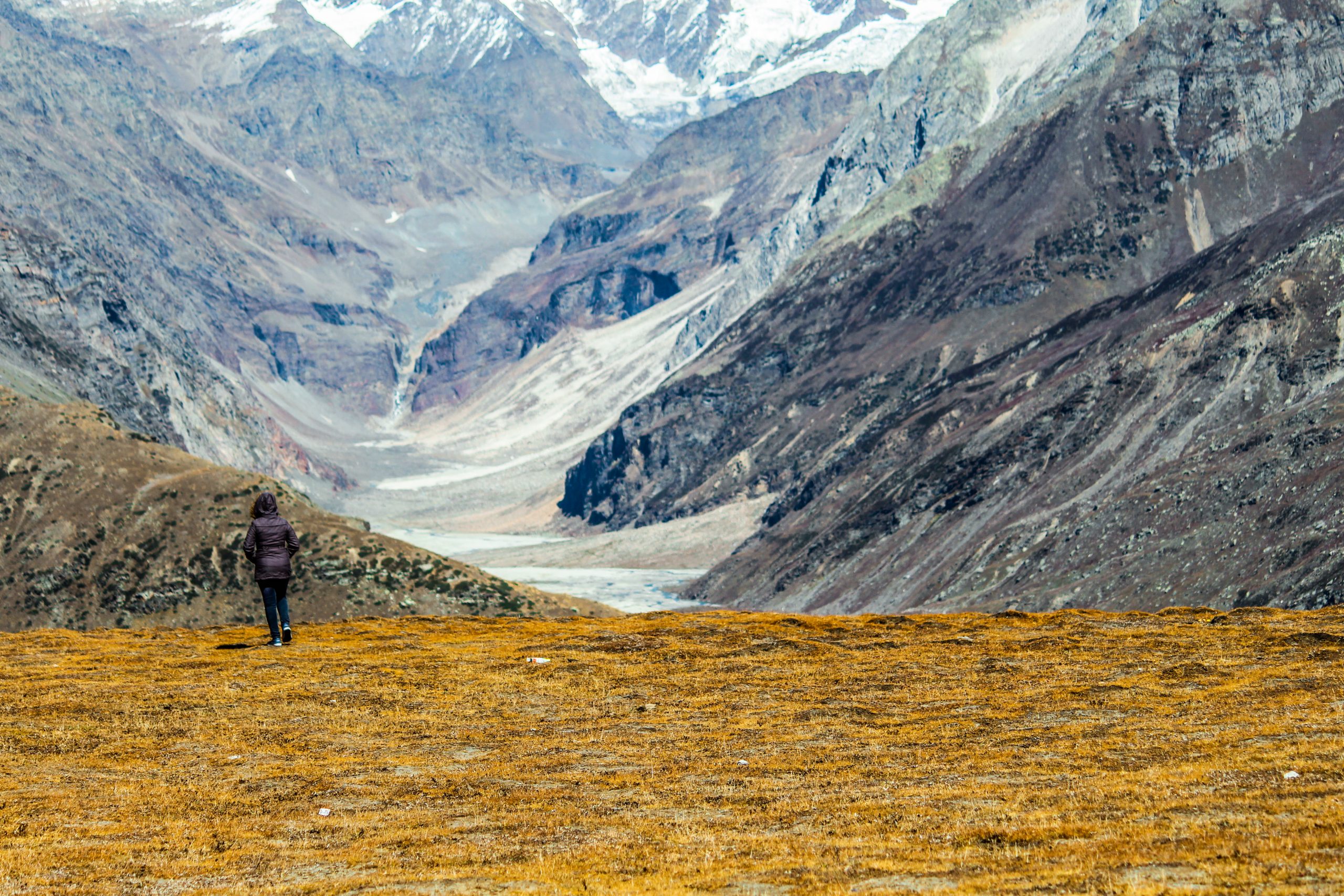 Shimla and Manali 6-Day Tour from Delhi