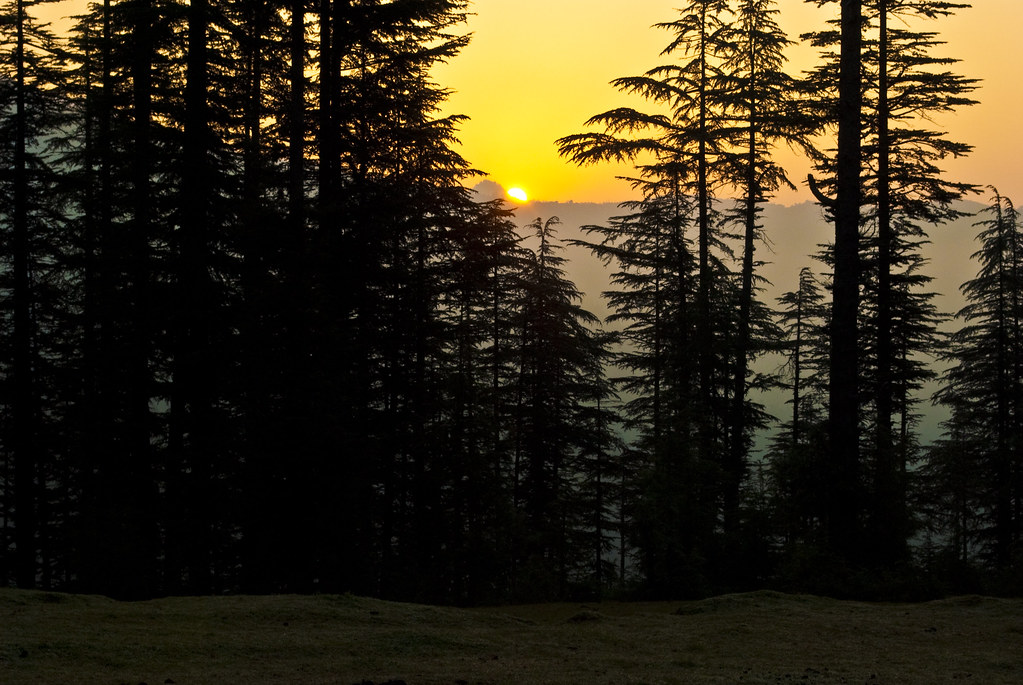 7-Day Scenic Himachal Tour: Narkanda, Sangla, Kalpa & Sarahan