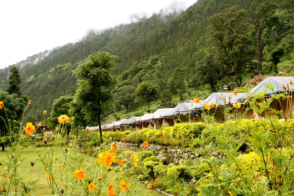 7-Day Char Dham Yatra by Road: Dehradun, Yamunotri, Gangotri, Kedarnath, and Badrinath
