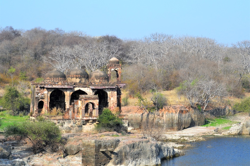 Ranthambore Safari Tour Itinerary & Travel Guide