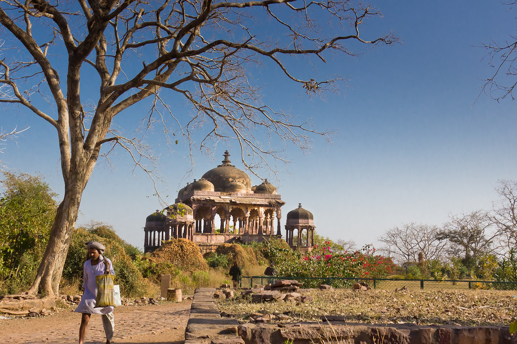 Jaipur and Ranthambore Tour Itinerary & Travel Guide